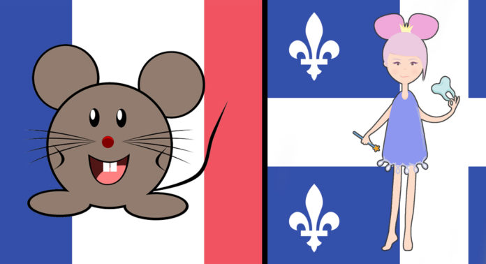 petitesouris