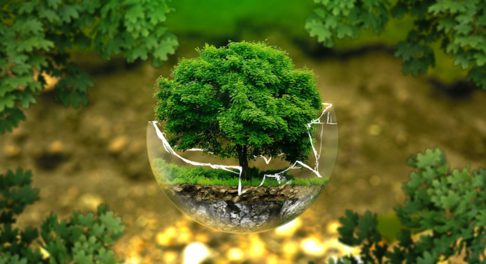 Environnement
